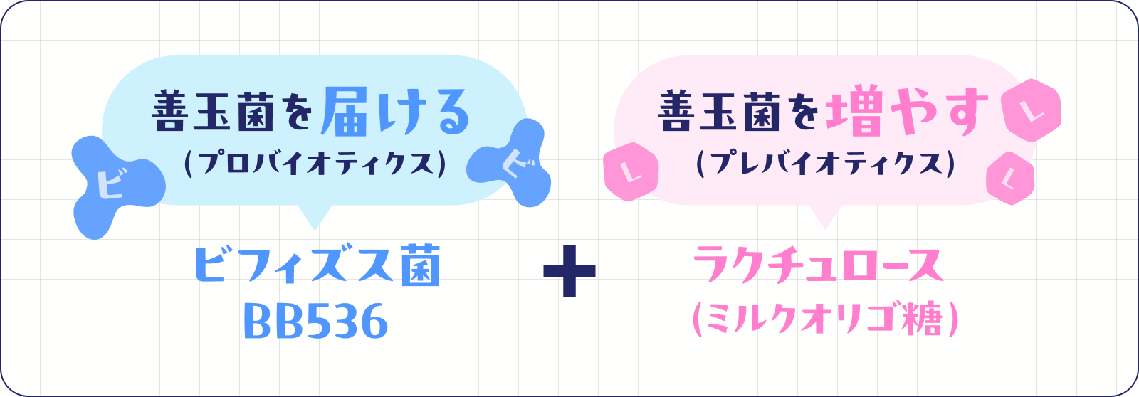 ビフィズス菌とラクチュロース
