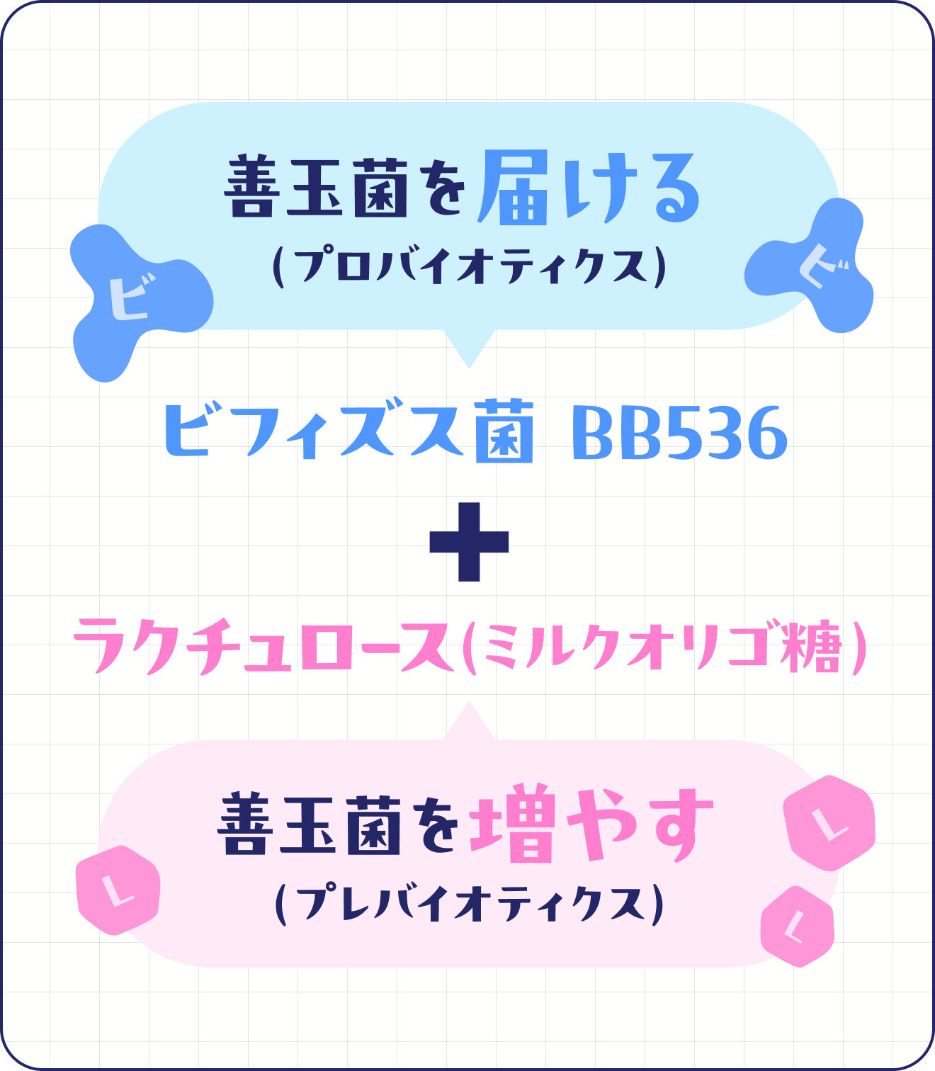 ビフィズス菌とラクチュロース